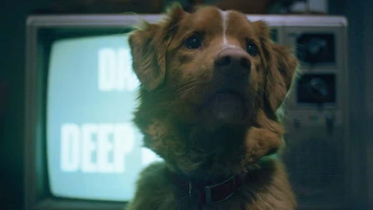 GOOD BOY